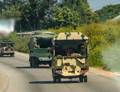 Troops Rescue Kidnapped Victims In Borno, Arrest 29 Others