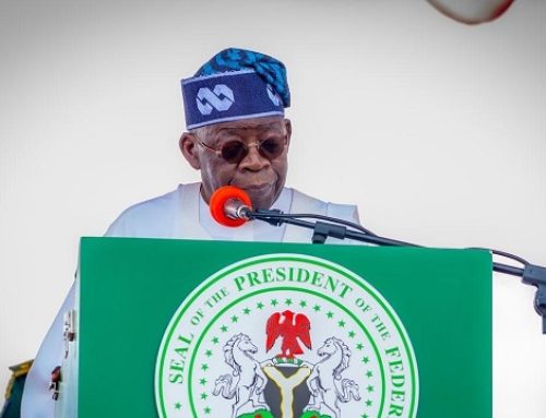 Lagos lawmaker appeals to Tinubu over APC primary  ticket