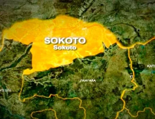 Eight Farmers Killed in Fresh Sokoto Bandit Attack